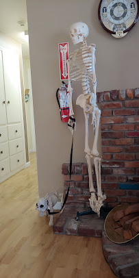 Hiro Chiropractic - Photo 8 - Car repair in Springfield, OR, Eugene