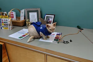 Mattapoisett Animal Hospital image