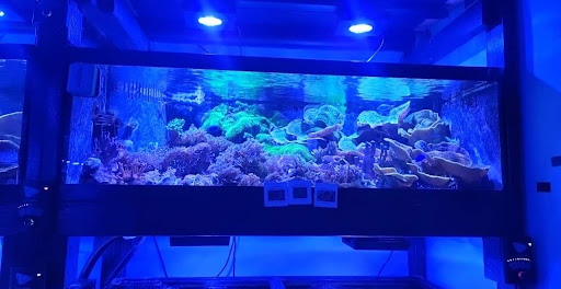 Aquarium «Reef Systems Coral Farm Inc», reviews and photos, 8459 Peter Hoover Rd, New Albany, OH 43054, USA