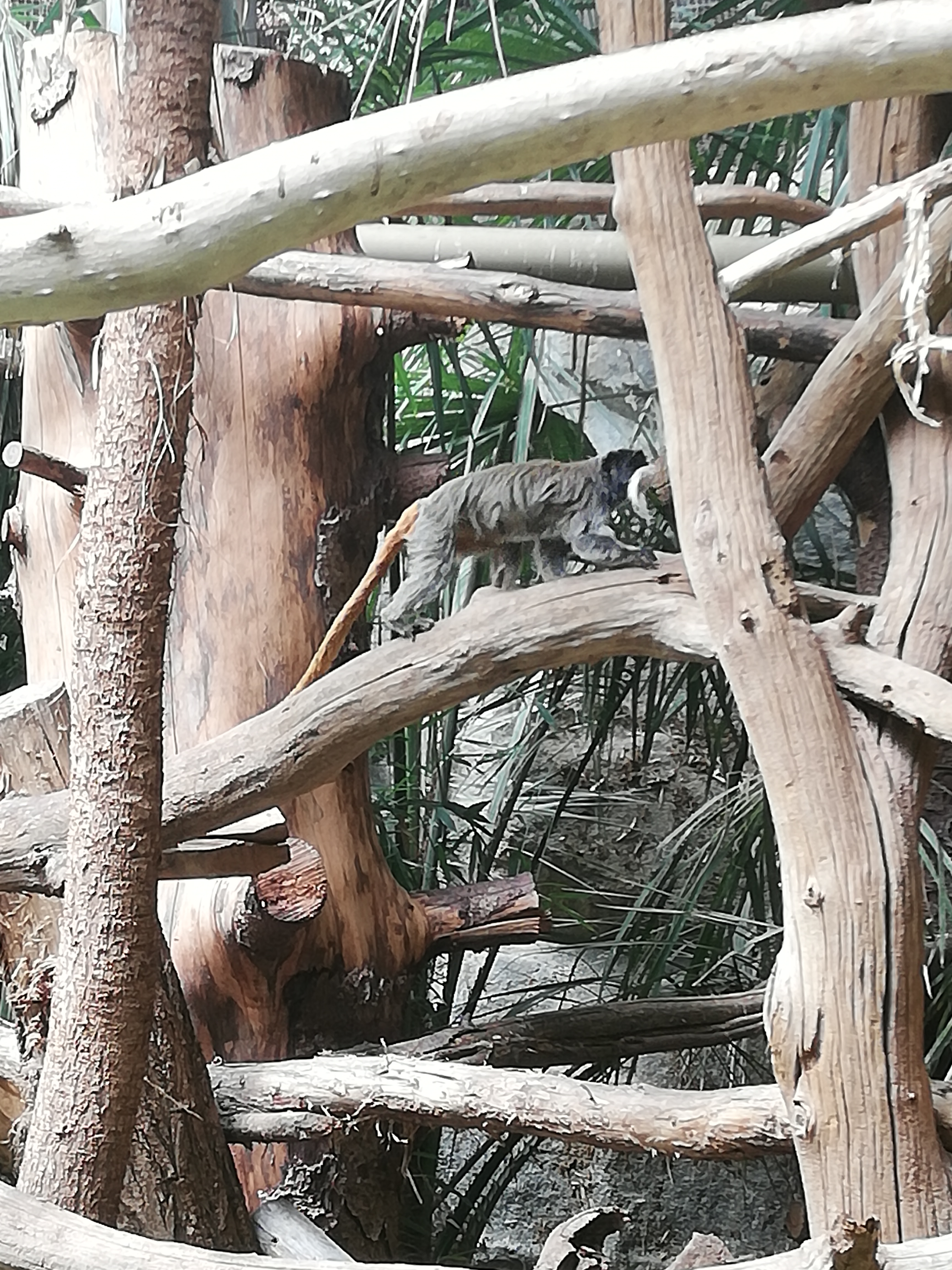 Photo n° 19 de l'avis de Soleil. fait le 20/08/2020 à 12:36