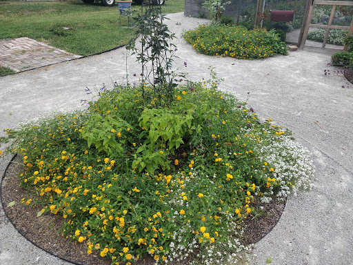 Farm «Idlewild Butterfly Farm», reviews and photos, 1100 Logan St, Louisville, KY 40204, USA