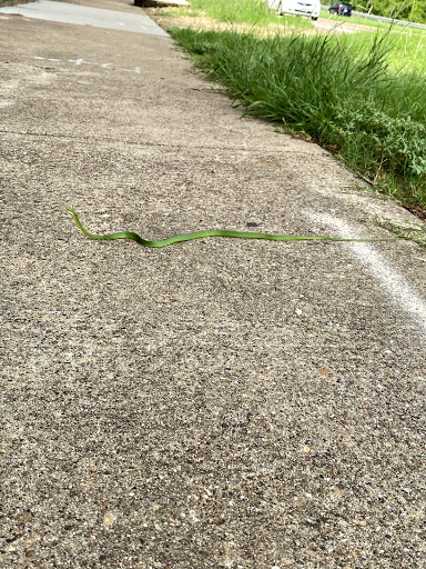 Water Park «Hawaiian Falls Garland», reviews and photos, 4550 N Garland Ave, Garland, TX 75040, USA