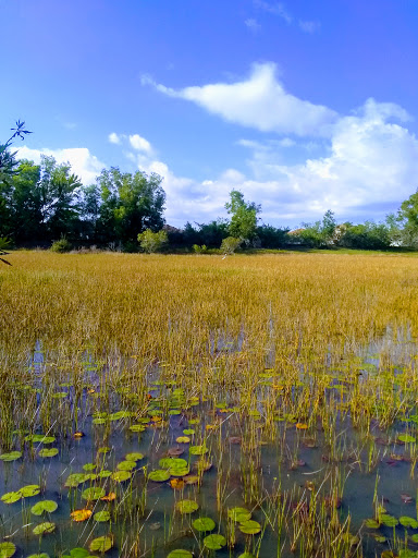 Golf Club «The Champion Turf Club at St. James», reviews and photos, 7900 Selvitz Rd, Port St Lucie, FL 34983, USA