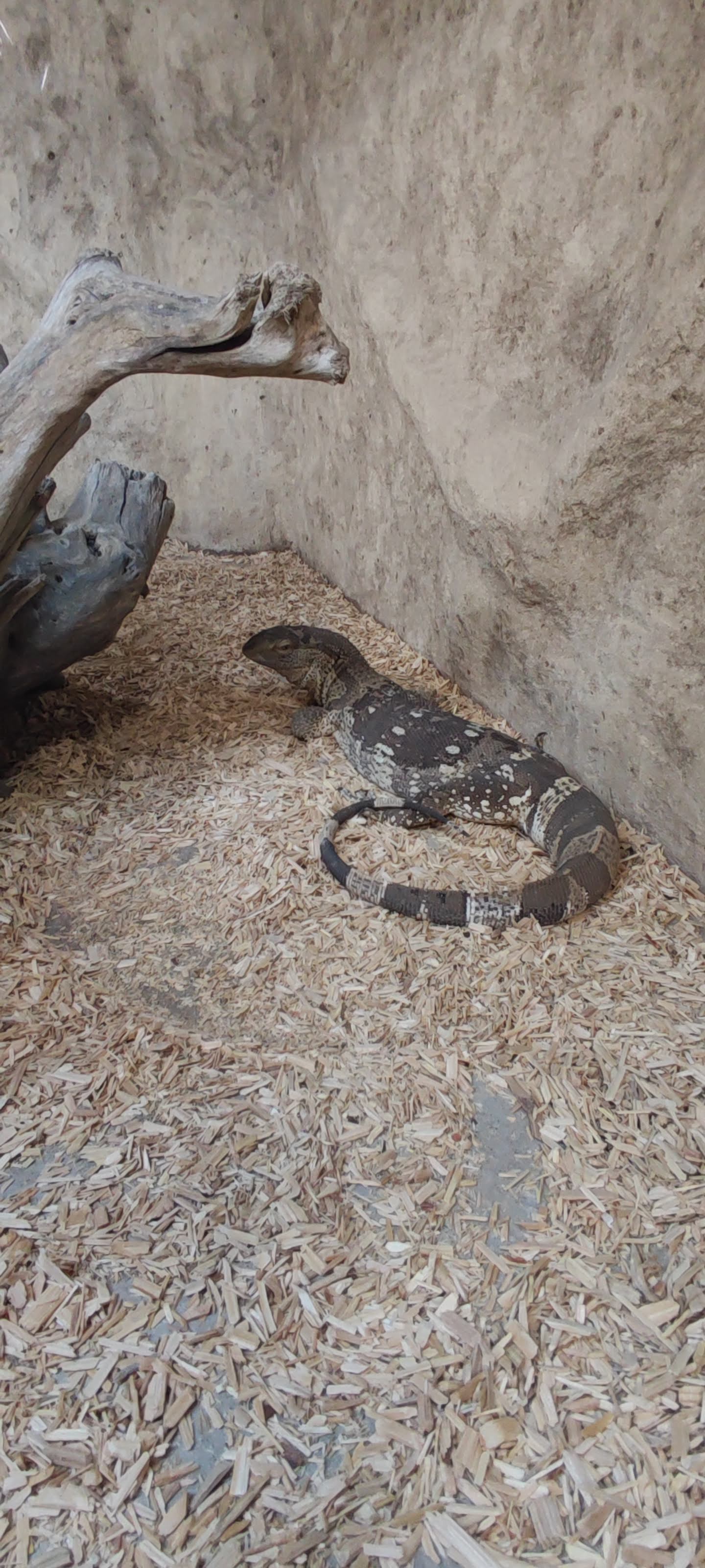 Photo n° 35 de l'avis de Yannick.o fait le 11/02/2023 à 16:29