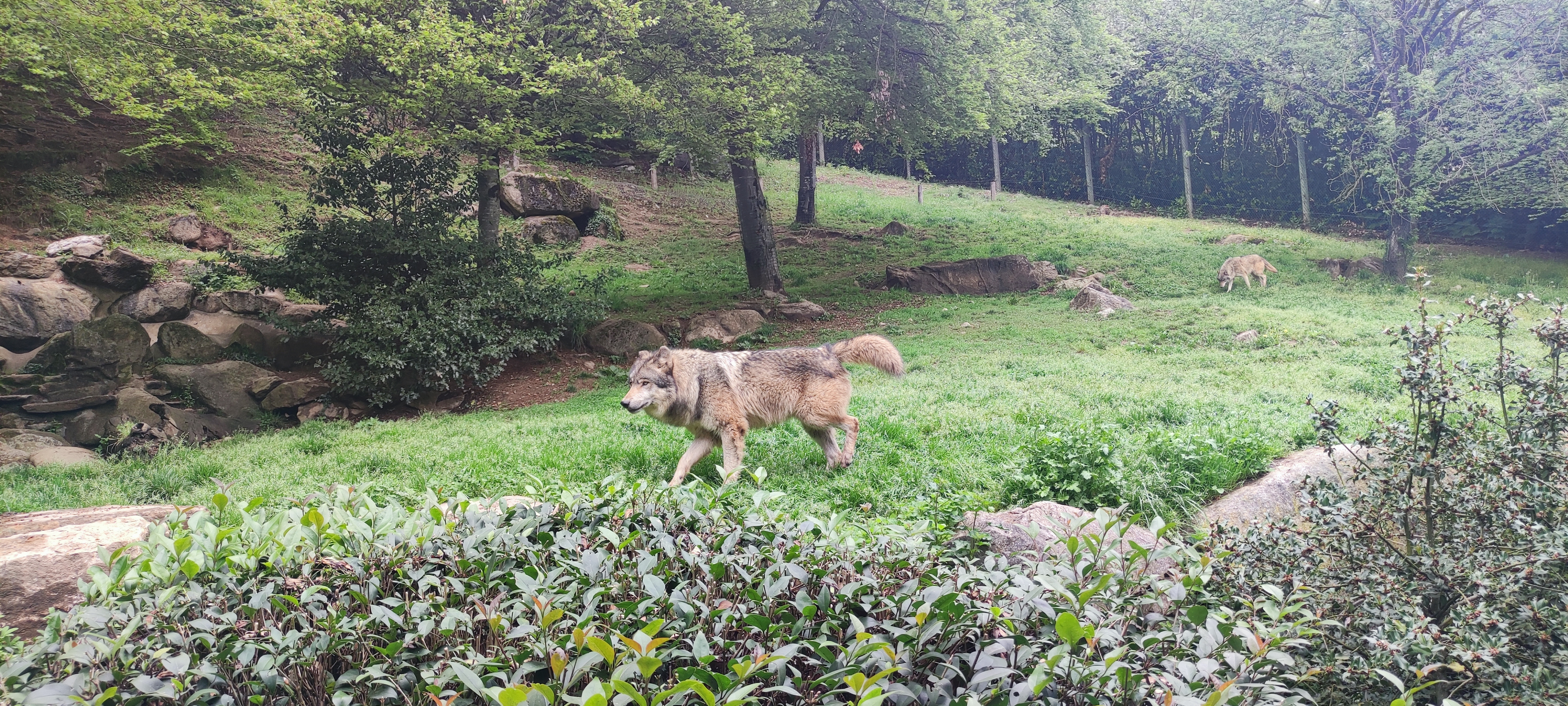 Photo n° 5 de l'avis de Marion.a fait le 30/04/2023 à 14:09