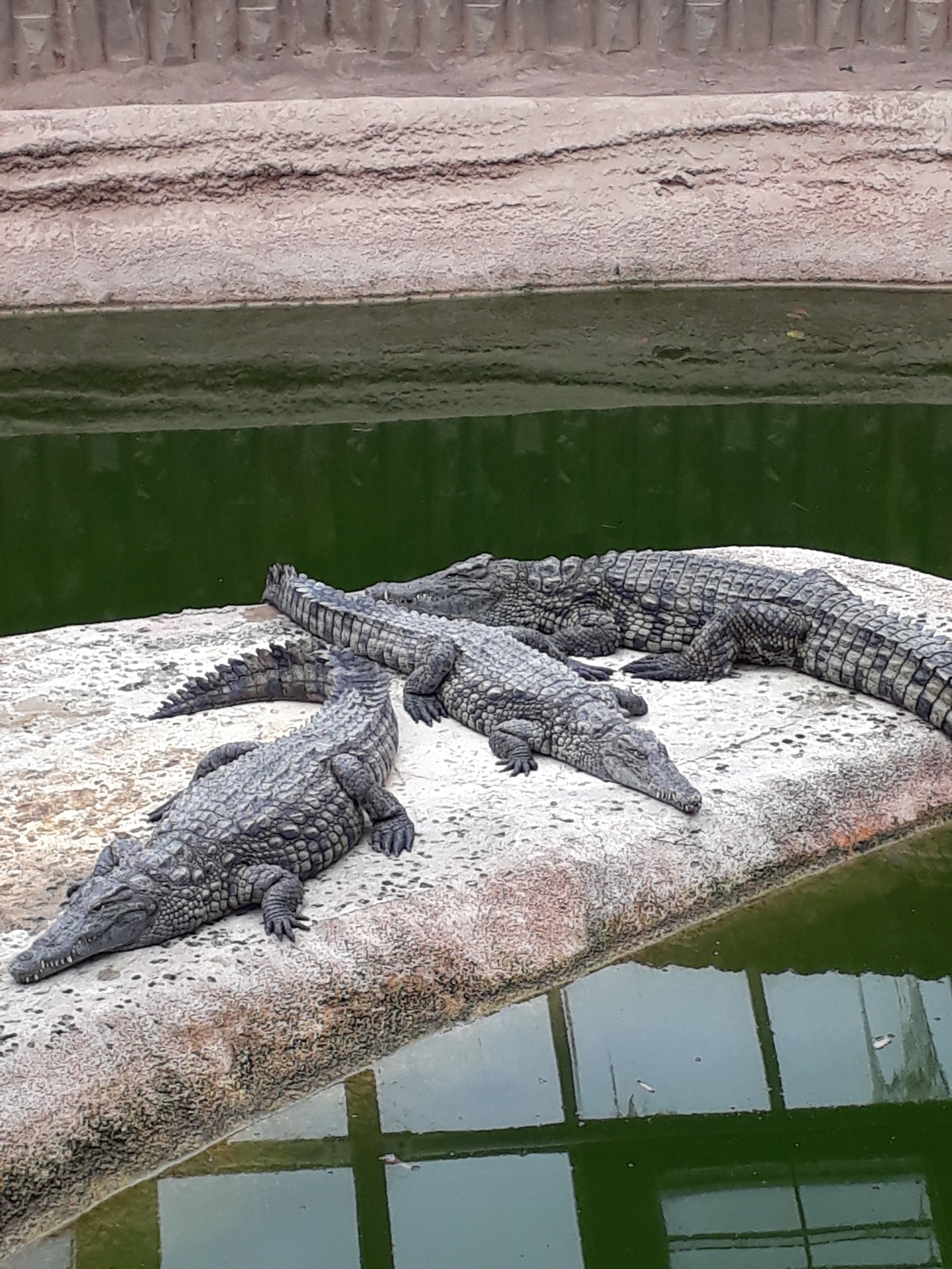 Photo n° 3 de l'avis de Philippe. fait le 14/06/2019 à 16:34