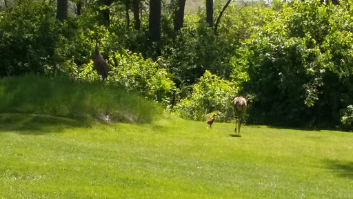 Golf Club «Wawasee Golf Club», reviews and photos, 12388 N Bishop Rd, Syracuse, IN 46567, USA