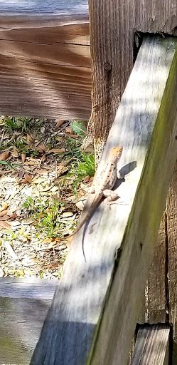 Nature Preserve «Perico Preserve», reviews and photos, 11700 Manatee Ave W, Bradenton, FL 34209, USA