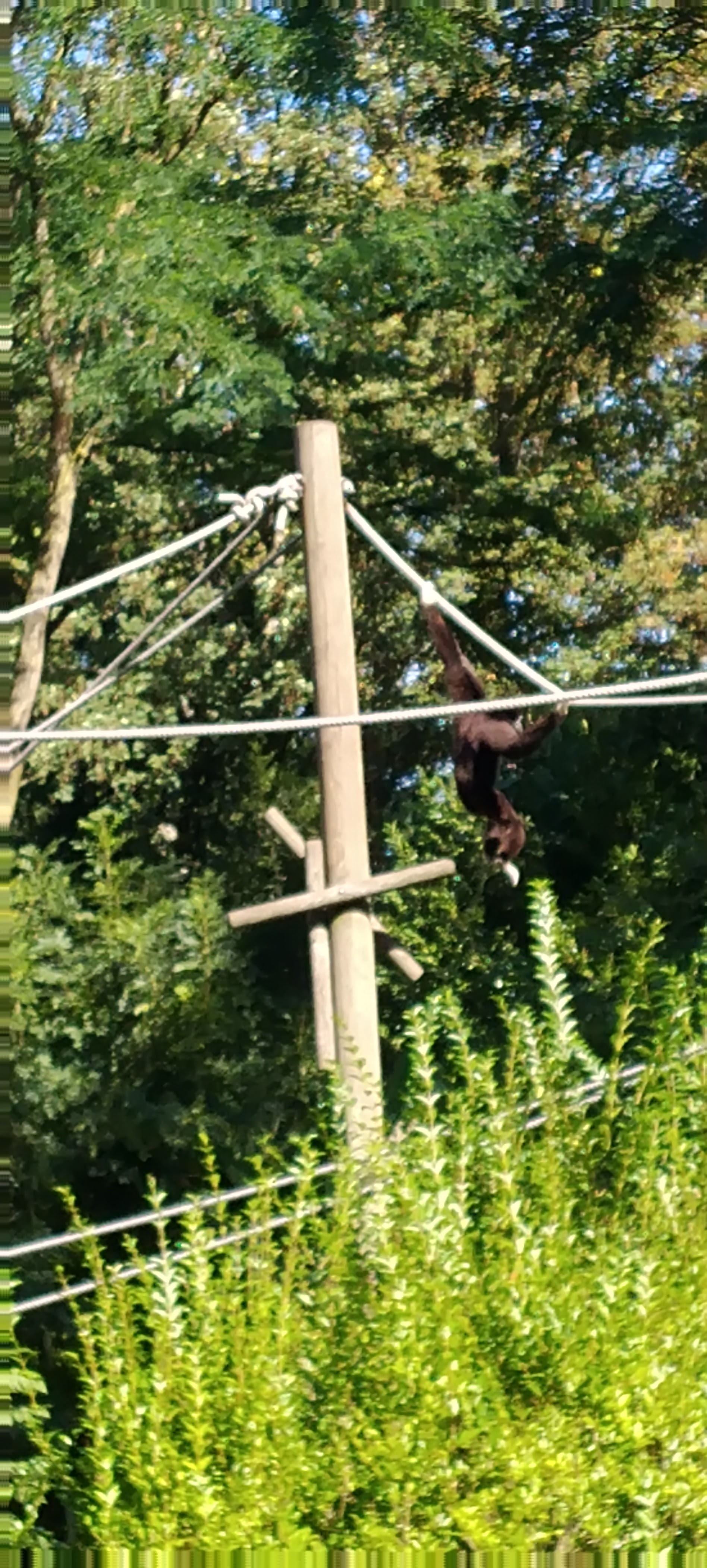 Photo n° 18 de l'avis de Bernard.e fait le 12/09/2022 à 09:16