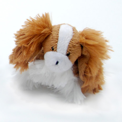 Pucci & Catana Luxury Pet Boutique, 800 5th Ave S #101, Naples, FL 34102, USA, 