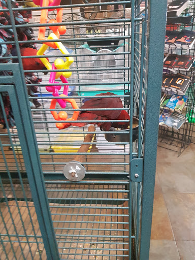 Pet Store «Pet Kingdom», reviews and photos, 4650 S Cleveland Ave, Fort Myers, FL 33907, USA