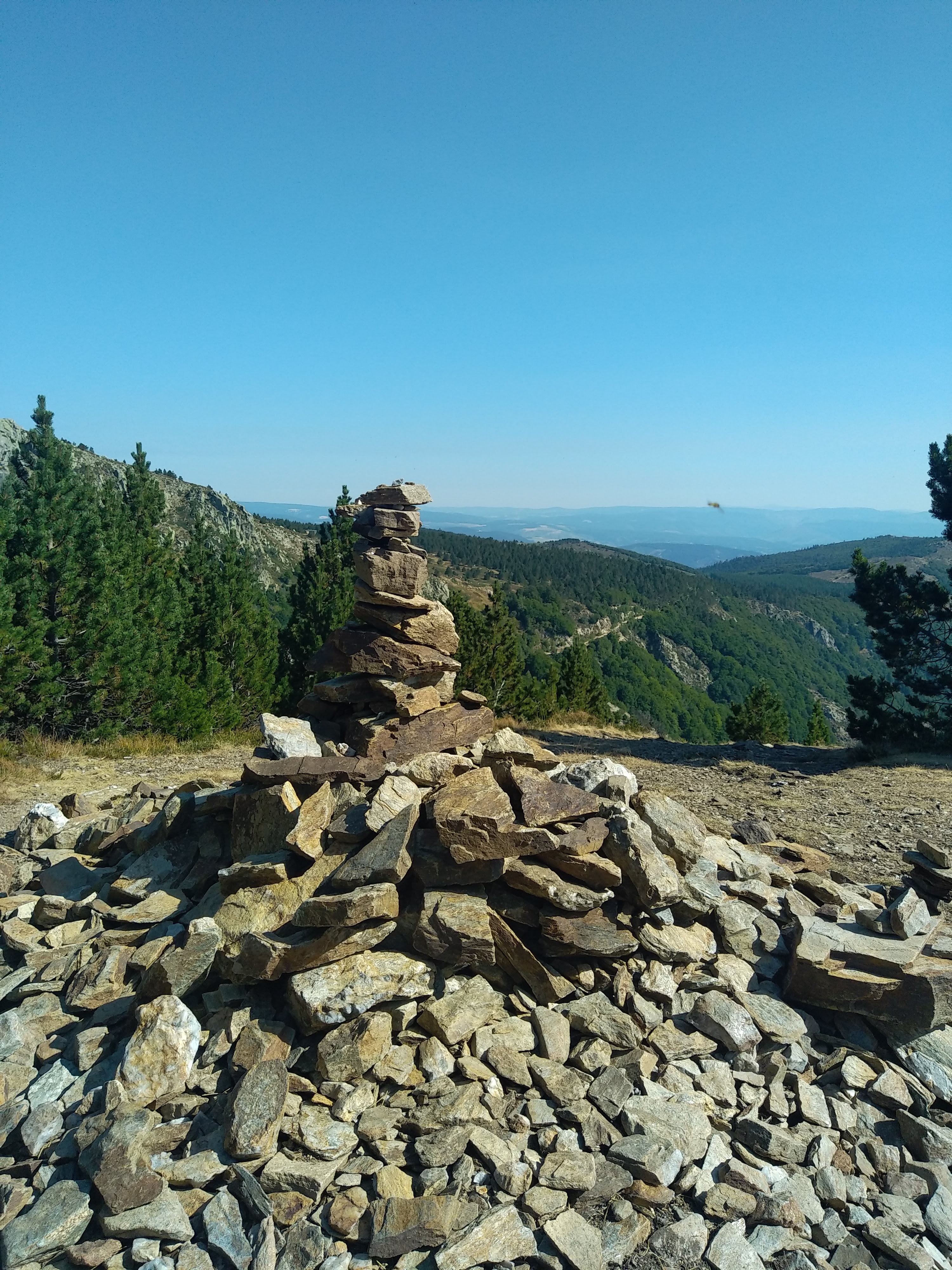 Photo n° 2 de l'avis de Julien.a fait le 15/10/2022 à 19:20