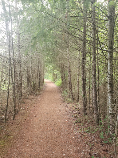 Golf Course «The Home Course», reviews and photos, Golf House Rd, DuPont, WA 98327, USA