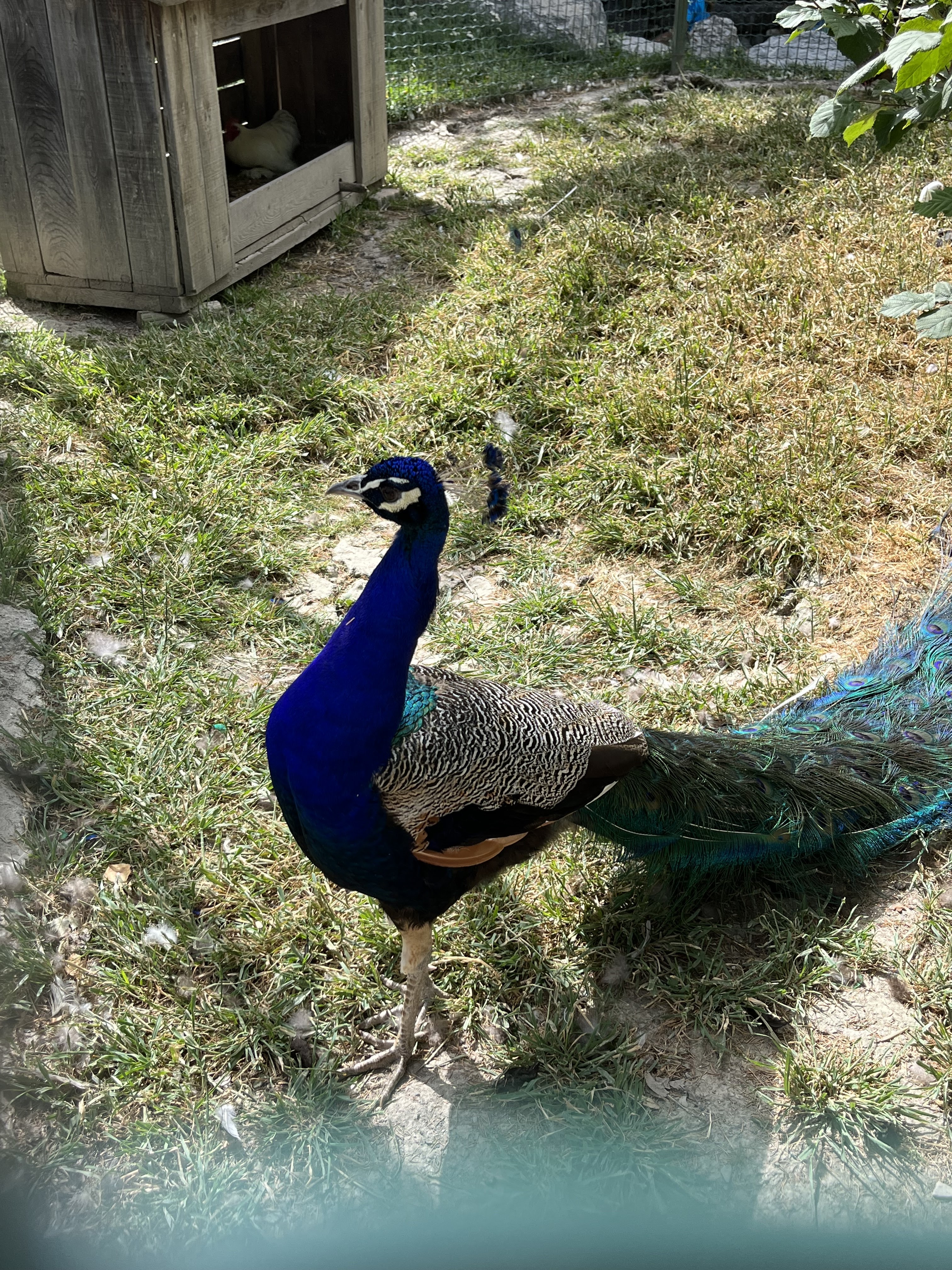 Photo n° 14 de l'avis de Lucille.p fait le 10/08/2023 à 21:42