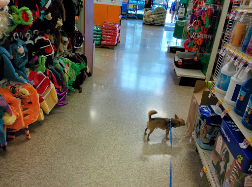 Pet Supply Store «PetSmart», reviews and photos, 11860 Spectrum Center, Reston, VA 20190, USA