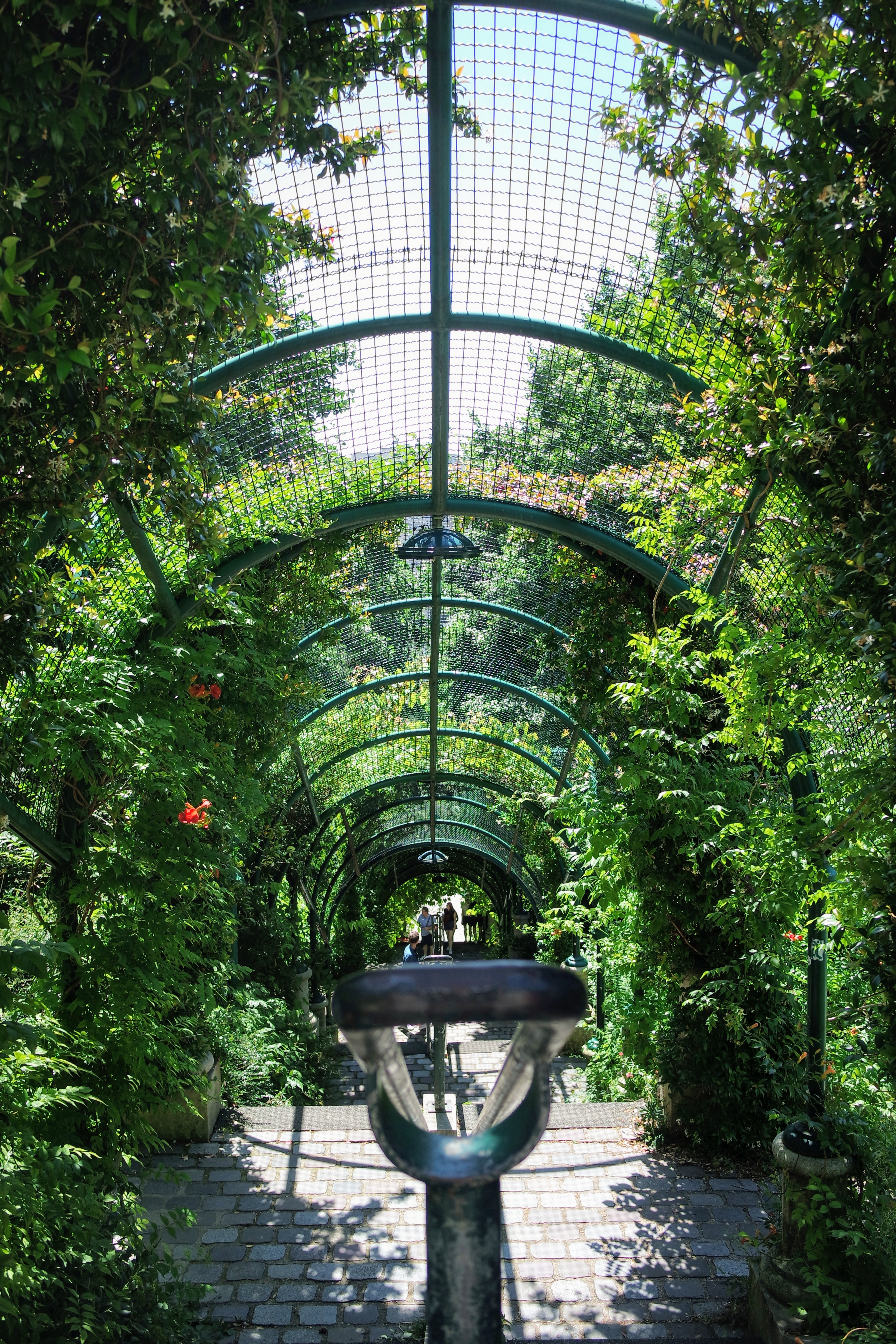 Photo n° 4 de l'avis de Angèle. fait le 29/07/2021 à 11:28