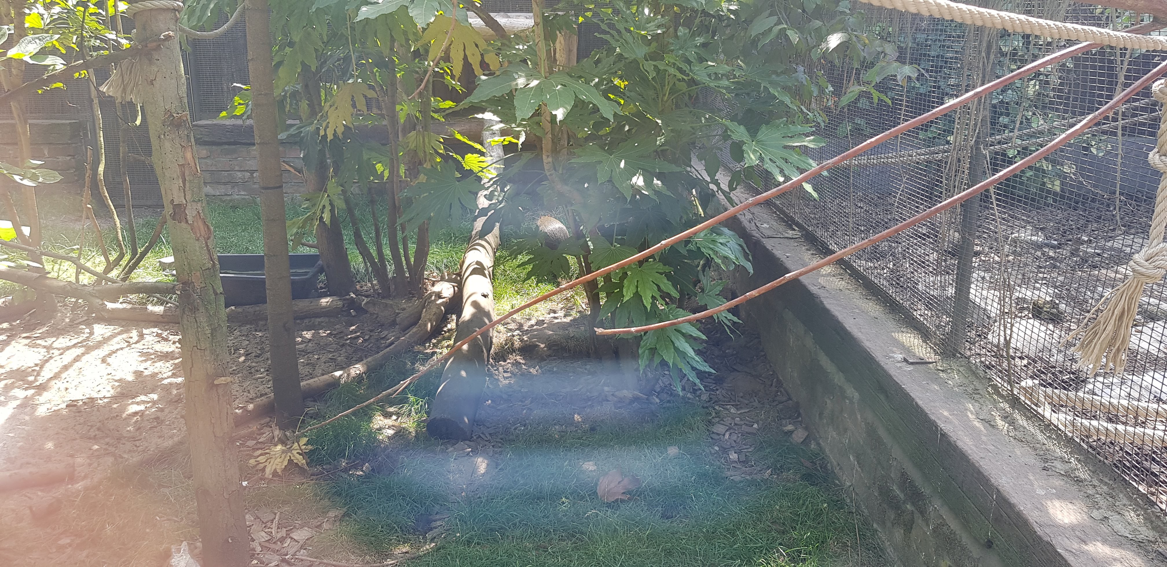 Photo n° 27 de l'avis de Nuk3d.t fait le 13/10/2019 à 18:58