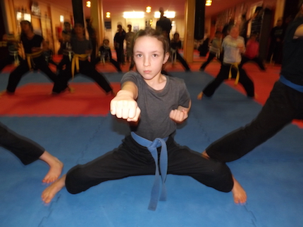 The Kung Fu School - Petone - Gym