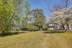 Central Park image