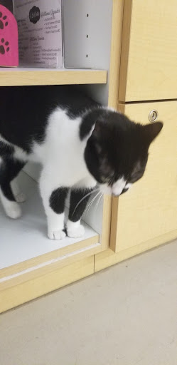 Pet Store «Petsense Enterprise», reviews and photos, 621 Boll Weevil Cir, Enterprise, AL 36330, USA