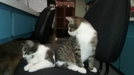 22300 Greater Mack Ave, St Clair Shores, MI 48080, USA