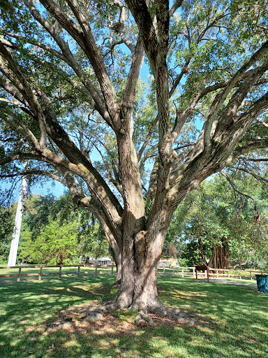 Nature Preserve «Snake Warrior Island Natural Area», reviews and photos, 3600 SW 62nd Ave, Miramar, FL 33023, USA