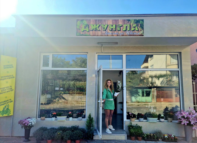 Opinii despre Evropat - 2000 AD în Кюстендил - Куриерска услуга