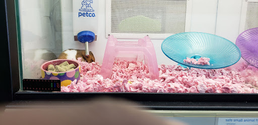 Petco image