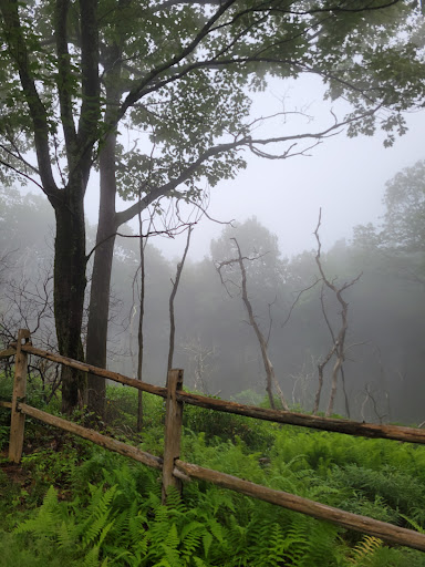 Tourist Attraction «Ice Caves», reviews and photos, Sams Point Rd, Pine Bush, NY 12566, USA