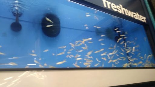 Pet Supply Store «Petco Animal Supplies», reviews and photos, 5215 Lakewood Blvd, Lakewood, CA 90712, USA