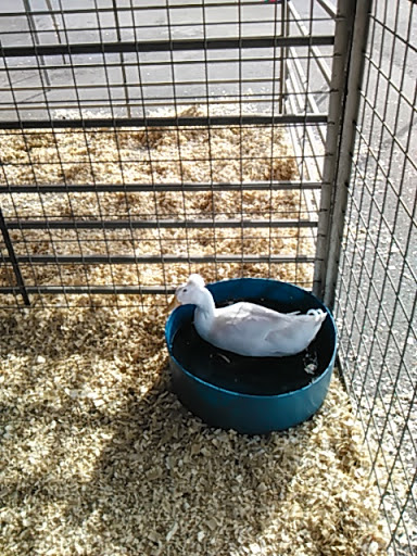 Shopping Mall «Southern Hills Shopping Ctr», reviews and photos, 1307 Southern Hills Center, West Plains, MO 65775, USA