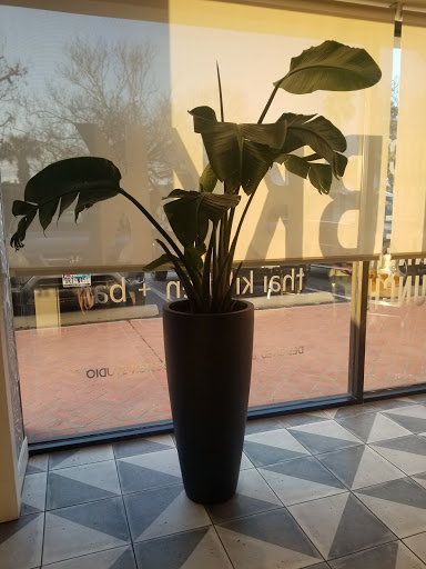 Shopping Mall «Lamar Park Shopping Center», reviews and photos, 3850 S Alameda St, Corpus Christi, TX 78411, USA