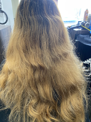 Beauty School «Bellus Academy», reviews and photos