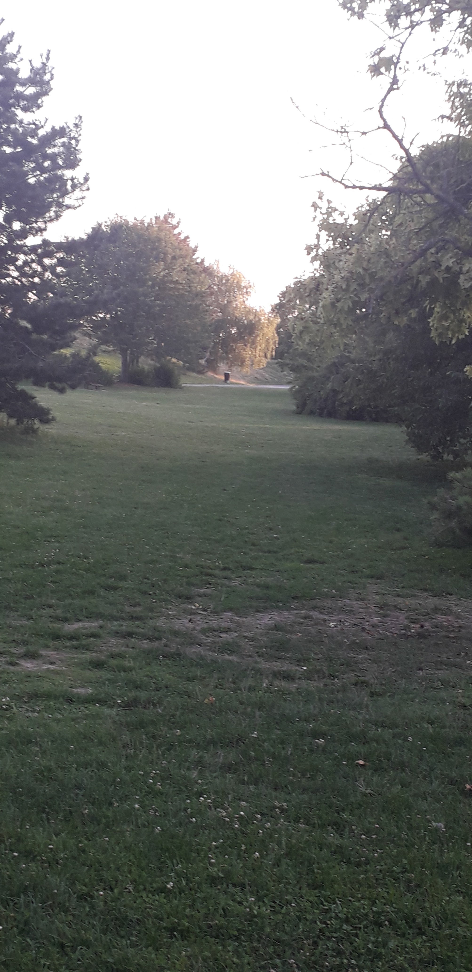 Photo n° 14 de l'avis de Dalila.C fait le 26/08/2019 à 20:04