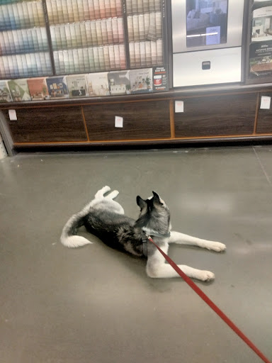 Home Improvement Store «The Home Depot», reviews and photos, 1510 Ring Rd, Elizabethtown, KY 42701, USA