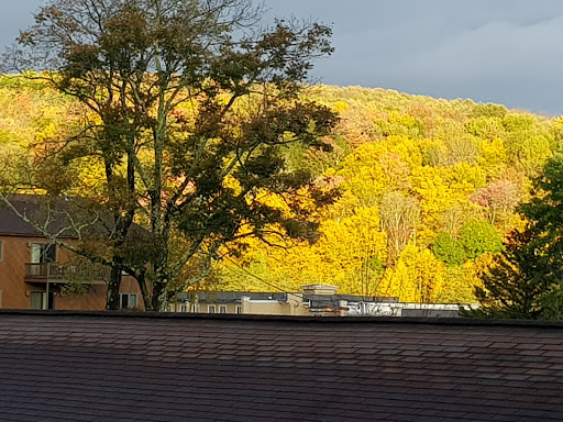 Resort «Villa Roma Resort», reviews and photos, 356 Villa Roma Rd, Callicoon, NY 12723, USA