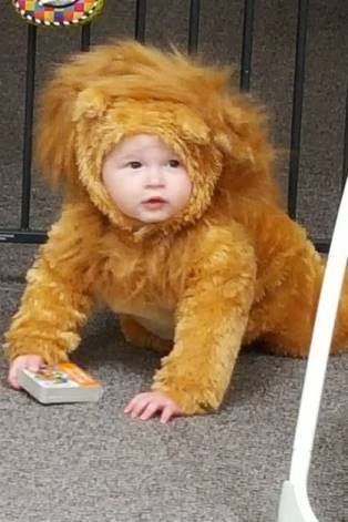 Preschool «Childrens Creative Corner Inc», reviews and photos, 2793 Maple Ave, Lisle, IL 60532, USA