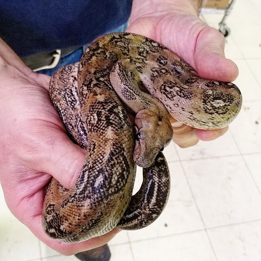 Pet Store «Gills And Thrills Pet Shop», reviews and photos, 204 E 8th St, Lockport, IL 60441, USA