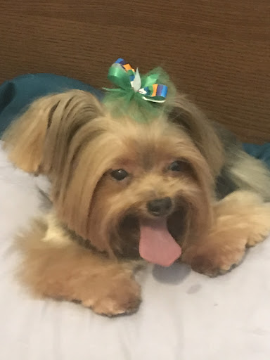 Pet Supply Store «EarthWise Pet Supply East Village», reviews and photos, 1051 Market St, San Diego, CA 92101, USA