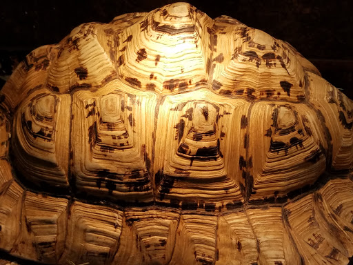 Zoo «Reptile Zoo», reviews and photos, 22715 US-2, Monroe, WA 98272, USA