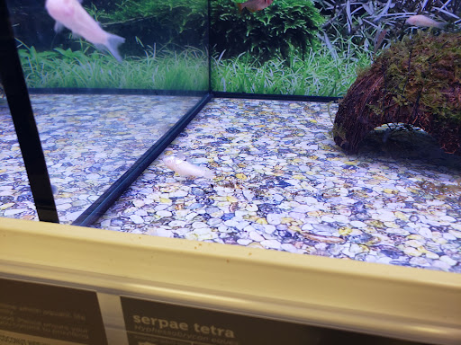 Pet Supply Store «Petco Animal Supplies», reviews and photos, 1415 E Warner Rd, Gilbert, AZ 85296, USA