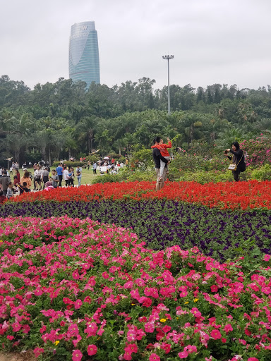 Free parks Shenzhen
