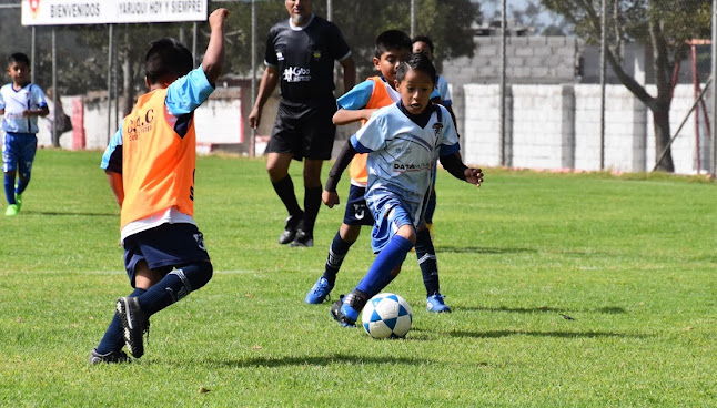 Escuela de Fútbol Club Fénix C.G. - Quito
