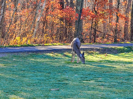 Golf Course «Blue Ridge Trail Golf Club», reviews and photos, 260 Country Club Dr, Mountain Top, PA 18707, USA