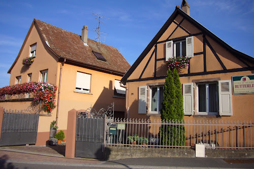 Gîte La Vigne Buissonnière : Location de vacances dans gîtes de 2 à 6 personnes avec terrasse, jardin, proche Munster, Colmar, Eguisheim, Kaysersberg, situés au calme dans domaine viticole à Wettolsheim, Haut-Rhin, Alsace à Wettolsheim