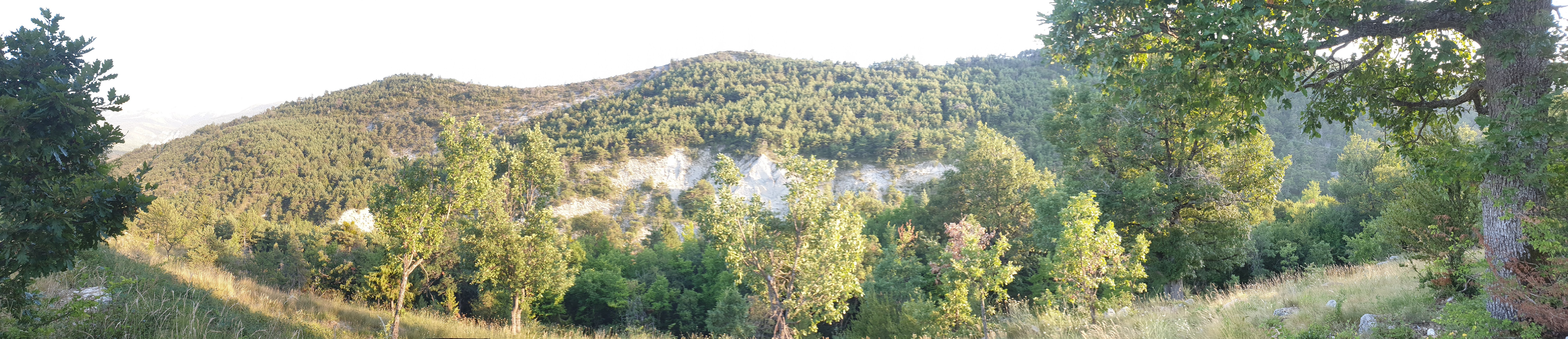 Photo n° 1 de l'avis de Ivo.a fait le 08/06/2021 à 17:01