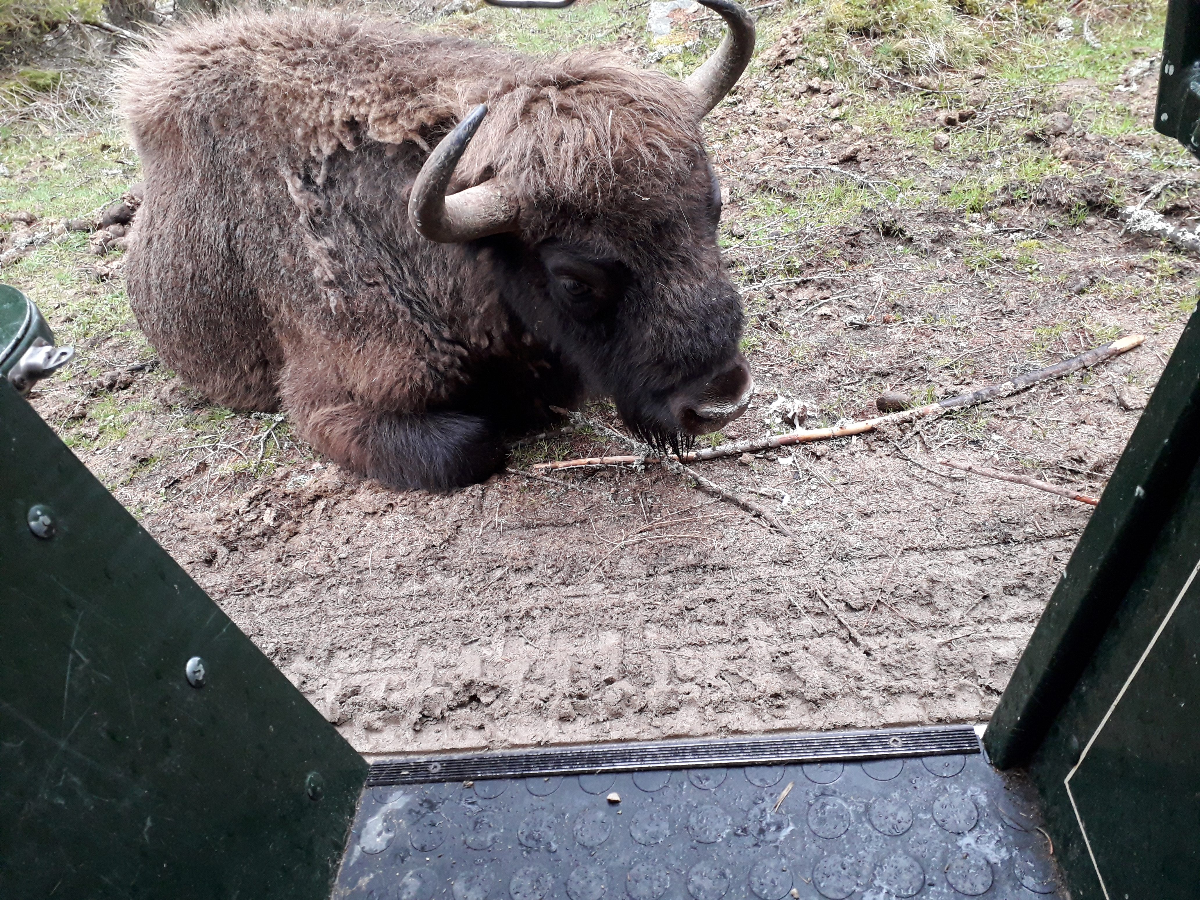 Photo n° 3 de l'avis de Florence.R fait le 14/05/2019 à 06:31