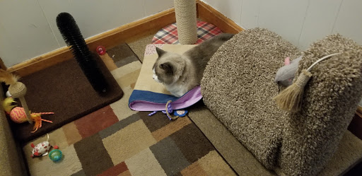 Pet Supply Store «PetSmart», reviews and photos, 70 Worcester-Providence Turnpike #240, Millbury, MA 01527, USA