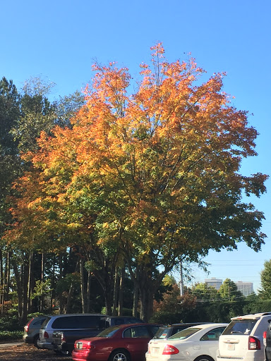 Construction Company «DPR Construction», reviews and photos, 3301 Windy Ridge Pkwy SE #500, Atlanta, GA 30339, USA