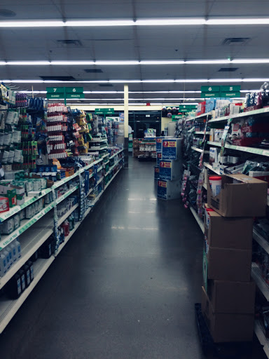 Dollar Store «Dollar Tree», reviews and photos, 4455 E McKellips Rd #101, Mesa, AZ 85215, USA